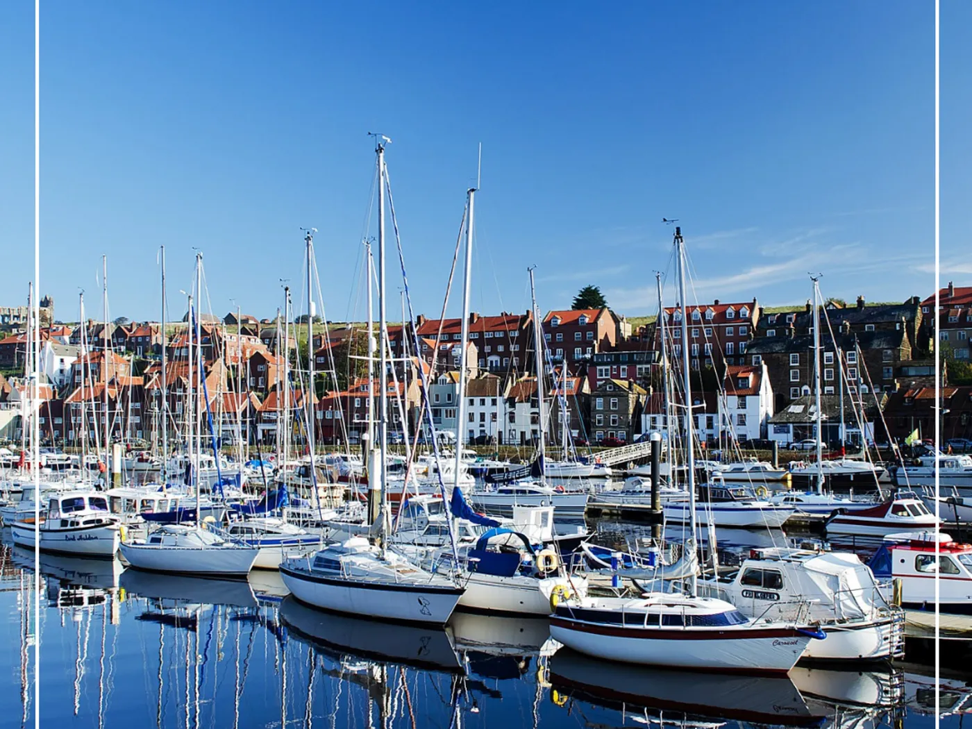Marina & fleet cleaning program
